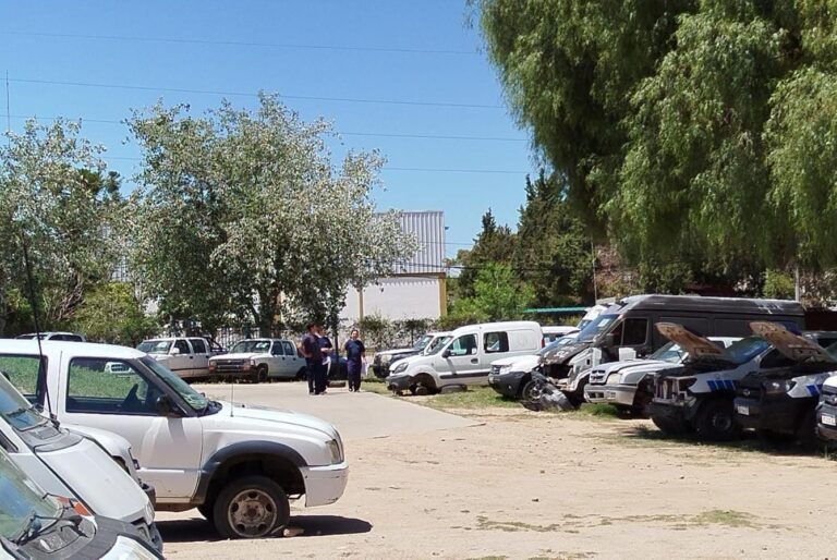 Alrededor de 200 personas visitaron el predio del Parque Automotor