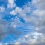 Siembra de nubes en Argentina: los nombres y conexiones detrás de seis empresas