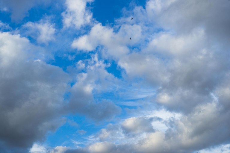 Siembra de nubes en Argentina: los nombres y conexiones detrás de seis empresas