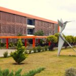 El 19 de diciembre cobrarán el medio aguinaldo los agentes de la administración pública