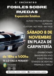 FB_IMG_1762369600552