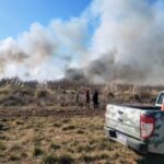 _*La Policía investiga las circunstancias de una nueva quema no autorizada de vegetación*_