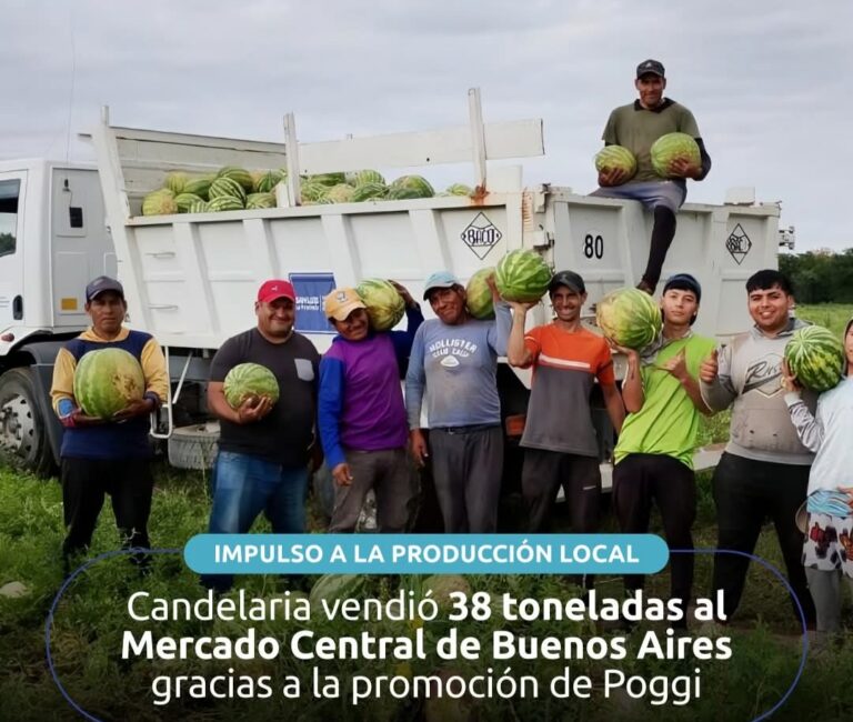 De Candelaria al Mercado Central: 38 toneladas que nacieron de un video dominical
