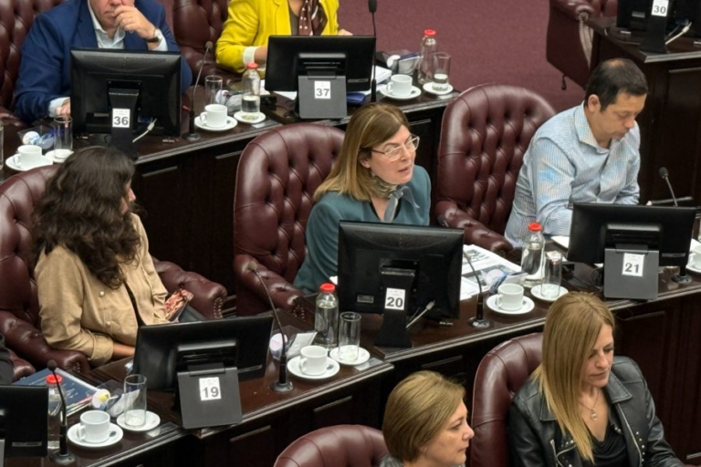 Diputados dio media sanción a la adecuación del Régimen Procesal Penal Juvenil