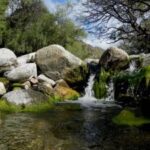 Sendero Los Abuelos, un refugio para descubrir biodiversidad y ecoturismo