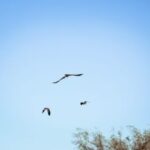 Las reservas privadas y la estación de piscicultura anunciaron sus horarios de verano