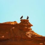 El Parque Nacional Sierra de Las Quijadas está abierto para sus visitantes