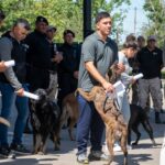 Dieron en adopción a más de 10 canes retirados de la Policía de San Luis