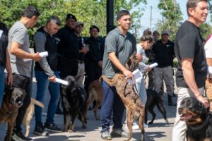 WhatsApp-Image-2025-11-15-at-23.05.19-1-1536x1023