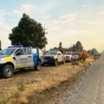 Bomberos y brigadistas de San Luis combaten incendios forestales en Chubut