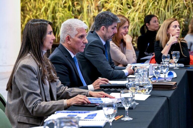 El Gobierno anunció un programa de capacitación en IA para empleados públicos