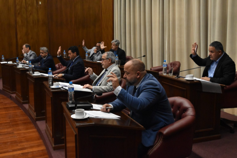 El Senado convirtió en ley el programa de Desendeudamiento Familiar