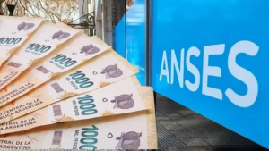 anses-min-11