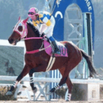 La historia de Haru Urara: la estrella de los perdedores