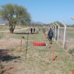 Ampliaron la cortina forestal de la planta recuperadora ‘La Jarilla’