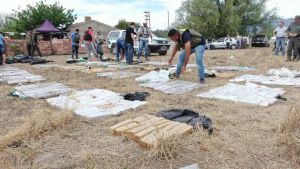 operativo_mala_madera_21