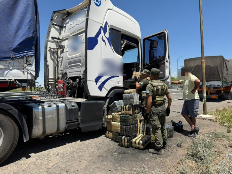 En San Juan interceptaron un camión que trasladaba más de 300 kilos de hojas de coca