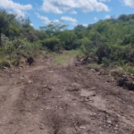 Desmonte ilegal: ambientalistas pidieron Banca Ciudadana urgente