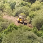 Denuncian desmontes en áreas protegidas de Merlo y crece la preocupación por el avance del negocio inmobiliario