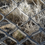 Se prevé una llegada de aire polar con heladas en la mayoría del país