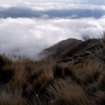 Con ráfagas intensas y temperaturas bajo cero, el invierno se instala con fuerza en San Luis
