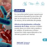 Lanzan recomendaciones para prevenir el Síndrome Urémico Hemolítico (SUH)