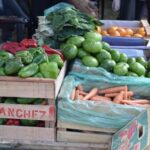 San Luis: La Venta Directa se reprogramó para este jueves